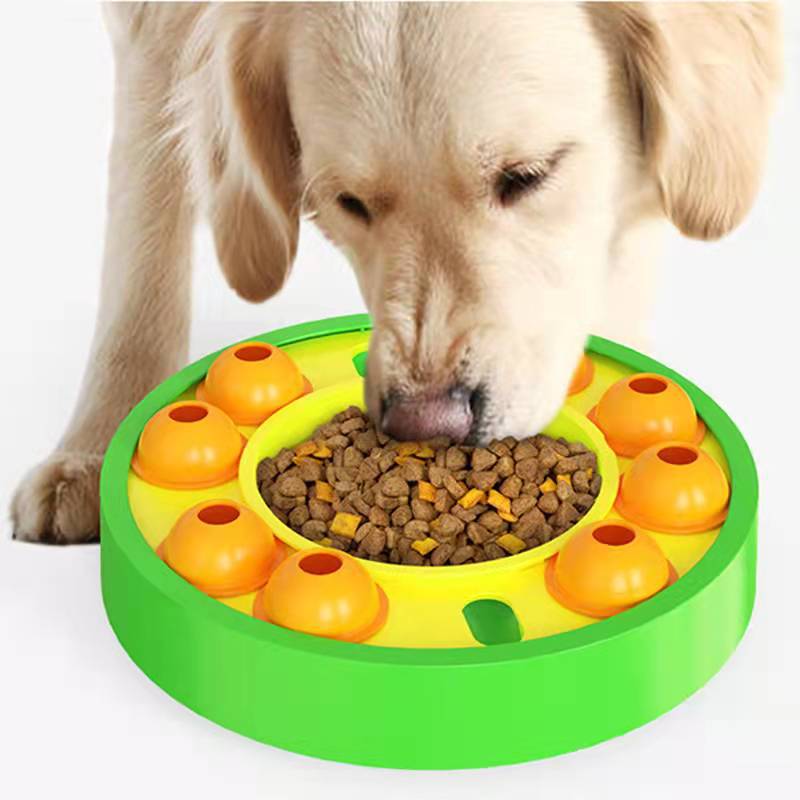 Dog Puzzle Slow Feeder Toy – Interactive IQ Food Dispenser with Non-Slip Base for Dogs & Cats – 6 | EcoPaws UK