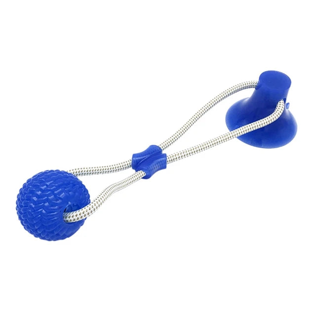 Suction Ball Interactive Dog Toy – 8 | EcoPaws UK