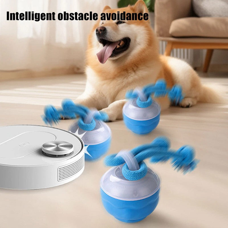 Chase Buddy Interactive Dog Toy – Smart Motion Ball with Rope – 4 | EcoPaws UK