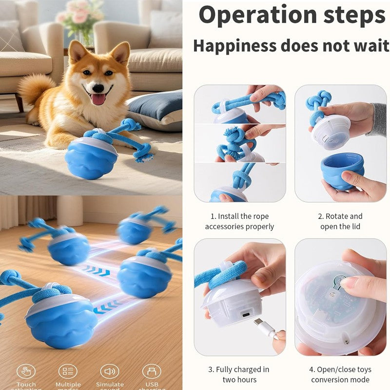 Chase Buddy Interactive Dog Toy – Smart Motion Ball with Rope – 1 | EcoPaws UK