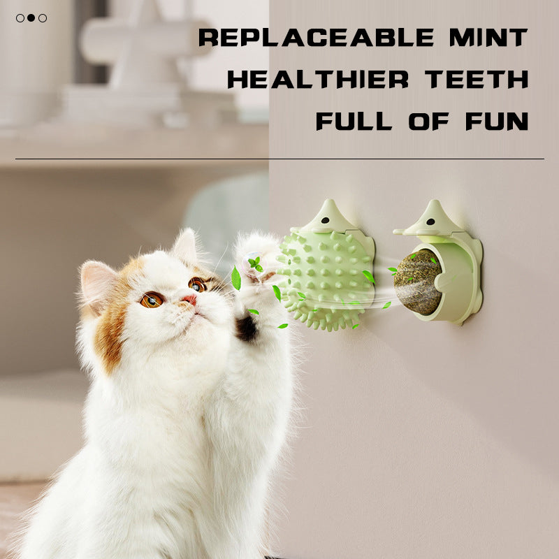 Cat Corner Self Groomer & Wall Scratcher – Massage Brush with Catnip Holder for Cats & Dogs – 1 | EcoPaws UK