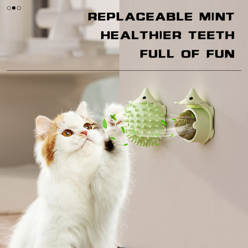 Cat Corner Self Groomer & Wall Scratcher – Massage Brush with Catnip Holder for Cats & Dogs – 1 | EcoPaws UK