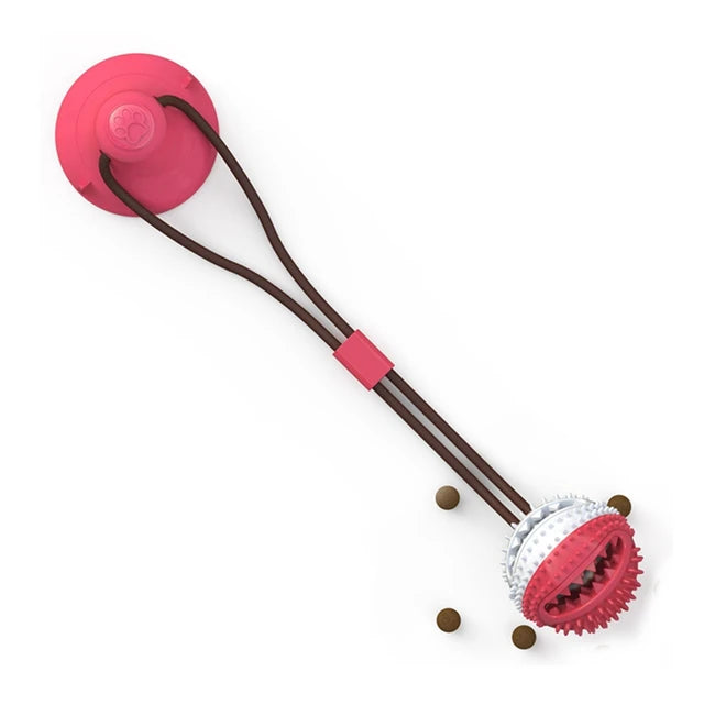Suction Ball Interactive Dog Toy – 4 | EcoPaws UK