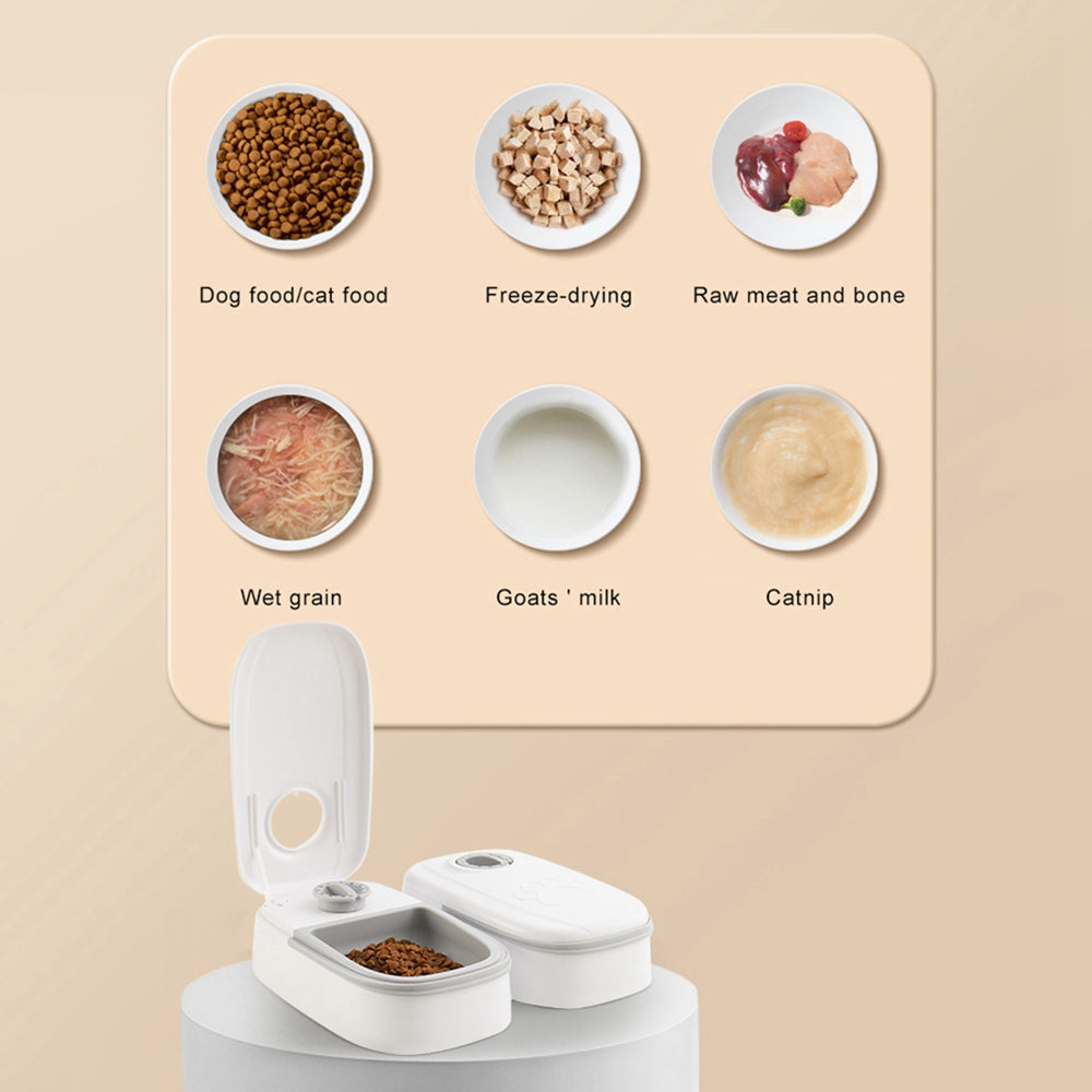 Smart Automatic Pet Feeder – Stainless Steel Bowl & Timer for Cats & Dogs – 6 | EcoPaws UK