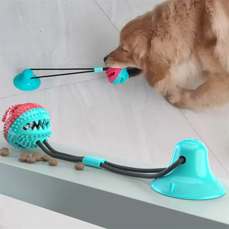 Suction Ball Interactive Dog Toy – 15 | EcoPaws UK