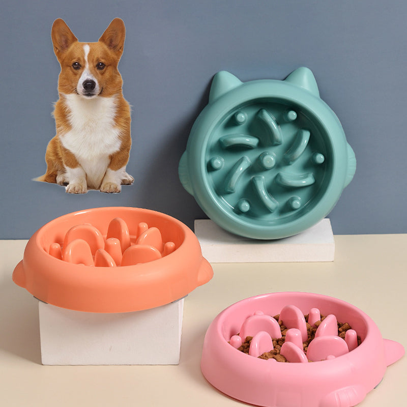 EcoPaws Slow Feeder Dog Bowl — Anti-Choking & Healthy Eating – 1 | EcoPaws UK
