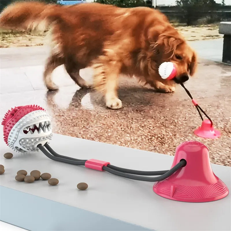 Suction Ball Interactive Dog Toy – 5 | EcoPaws UK