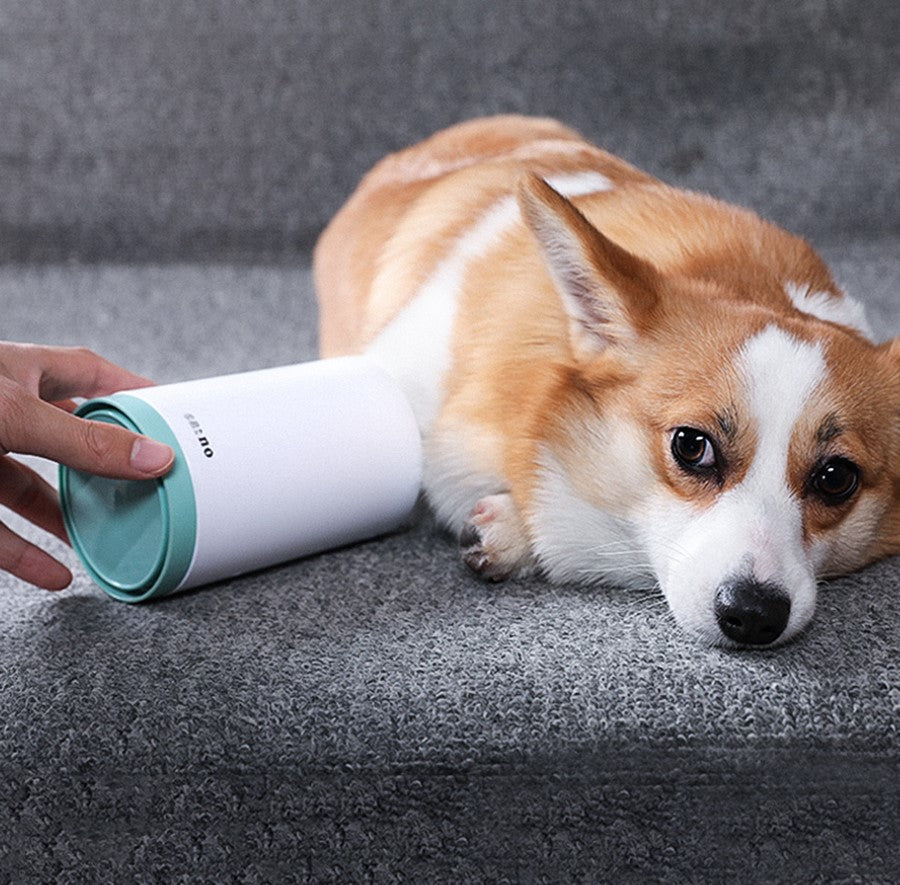 EcoPaws Paw Cleaner Cup — Portable Muddy Paw Washer for Dogs – 1 | EcoPaws UK
