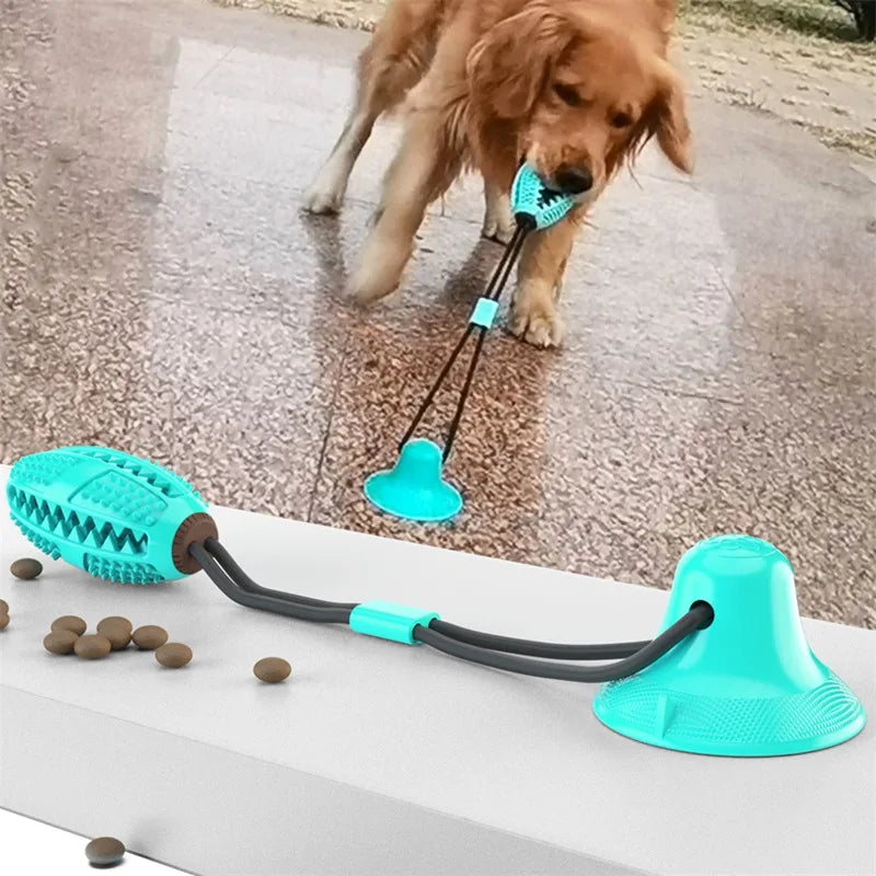 Suction Ball Interactive Dog Toy – 6 | EcoPaws UK