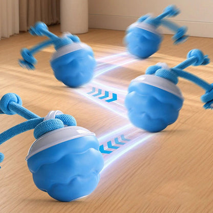 Chase Buddy Interactive Dog Toy – Smart Motion Ball with Rope – 9 | EcoPaws UK