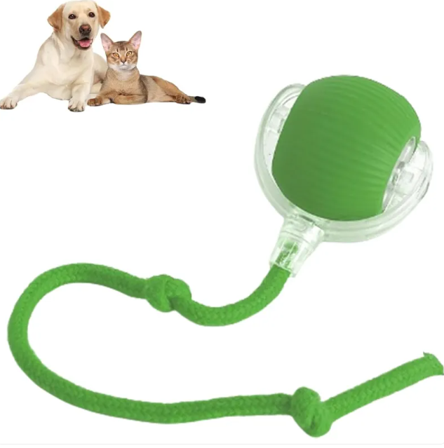 Smart Rolling Pet Ball – 4 | EcoPaws UK