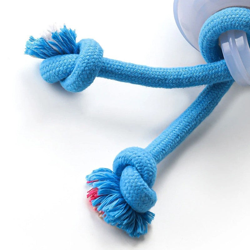 Chase Buddy Interactive Dog Toy – Smart Motion Ball with Rope – 10 | EcoPaws UK