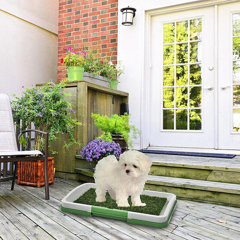 Indoor Dog Toilet Training Mat — Grass Potty Pad with Tray for Puppies & Dogs – 3 | EcoPaws UK