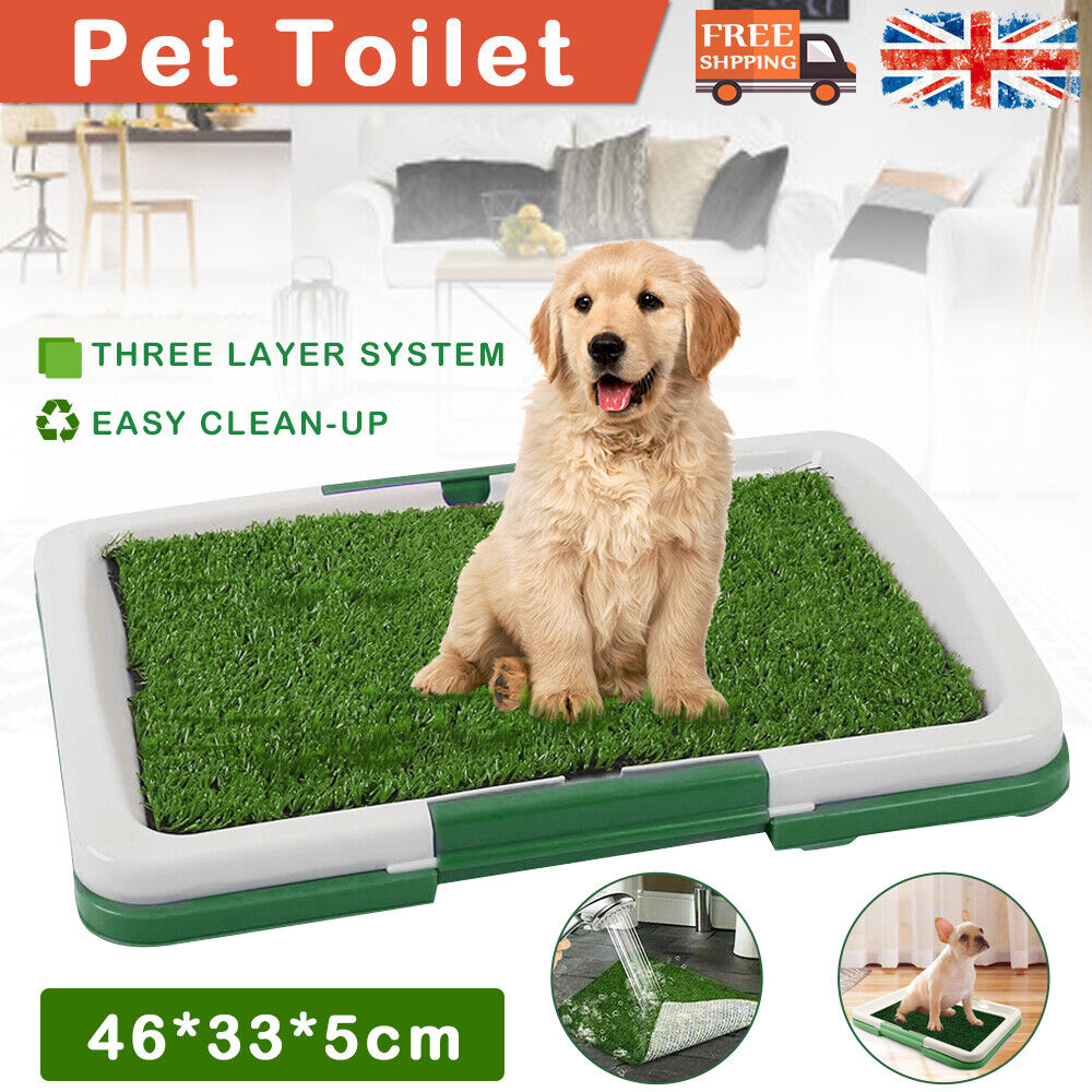 Indoor Dog Toilet Training Mat — Grass Potty Pad with Tray for Puppies & Dogs – 8 | EcoPaws UK