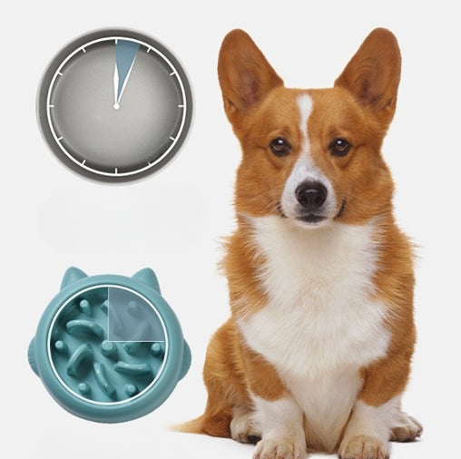 EcoPaws Slow Feeder Dog Bowl — Anti-Choking & Healthy Eating – 9 | EcoPaws UK