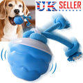 Chase Buddy Interactive Dog Toy – Smart Motion Ball with Rope – 5 | EcoPaws UK