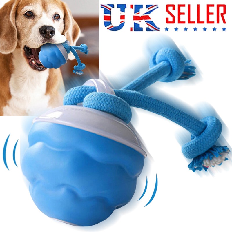 Chase Buddy Interactive Dog Toy – Smart Motion Ball with Rope – 5 | EcoPaws UK