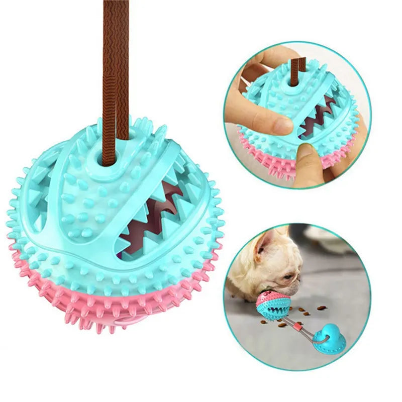 Suction Ball Interactive Dog Toy – 16 | EcoPaws UK
