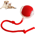 Smart Rolling Pet Ball – 1 | EcoPaws UK