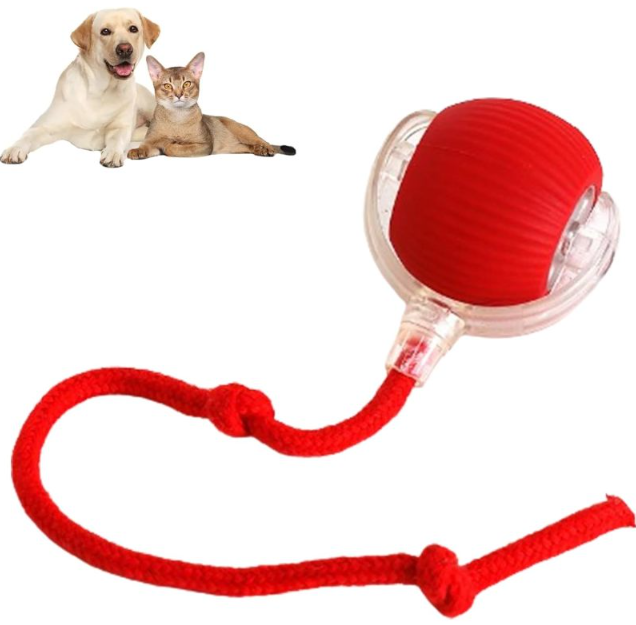 Smart Rolling Pet Ball – 1 | EcoPaws UK