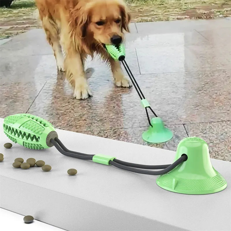 Suction Ball Interactive Dog Toy – 2 | EcoPaws UK