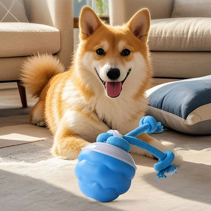 Chase Buddy Interactive Dog Toy – Smart Motion Ball with Rope – 6 | EcoPaws UK