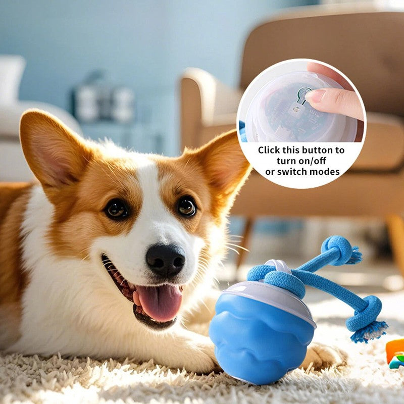 Chase Buddy Interactive Dog Toy – Smart Motion Ball with Rope – 8 | EcoPaws UK