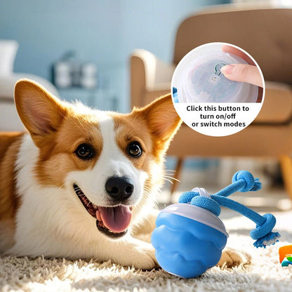 Chase Buddy Interactive Dog Toy – Smart Motion Ball with Rope – 8 | EcoPaws UK