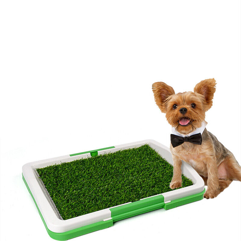 Indoor Dog Toilet Training Mat — Grass Potty Pad with Tray for Puppies & Dogs – 1 | EcoPaws UK