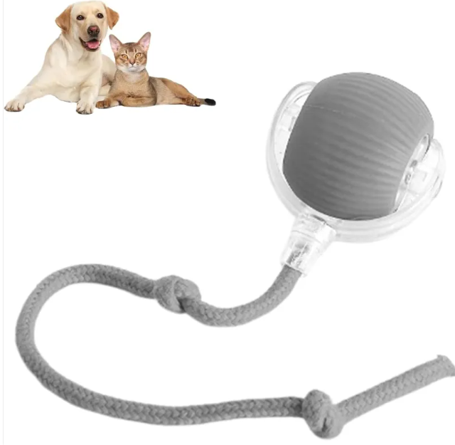 Smart Rolling Pet Ball – 3 | EcoPaws UK