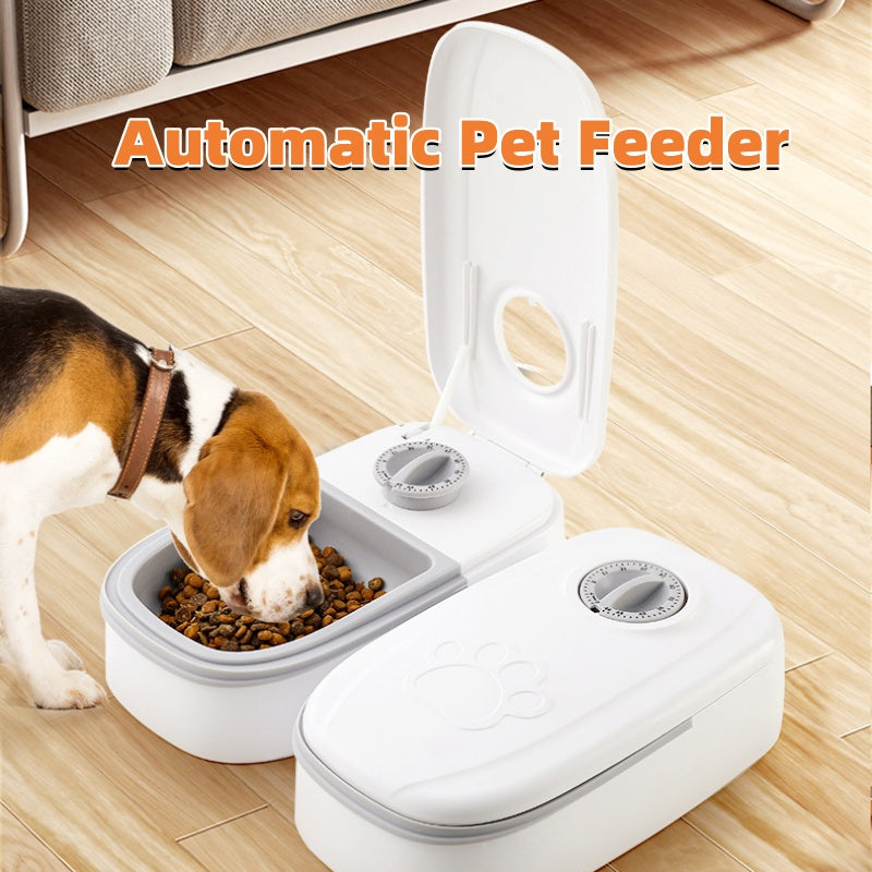 Smart Automatic Pet Feeder – Stainless Steel Bowl & Timer for Cats & Dogs – 1 | EcoPaws UK
