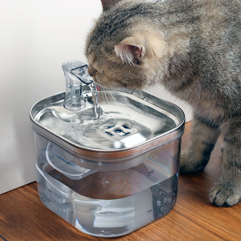 Stainless Steel Pet Water Fountain – Automatic Circulation Dispenser for Cats & Dogs – 6 | EcoPaws UK