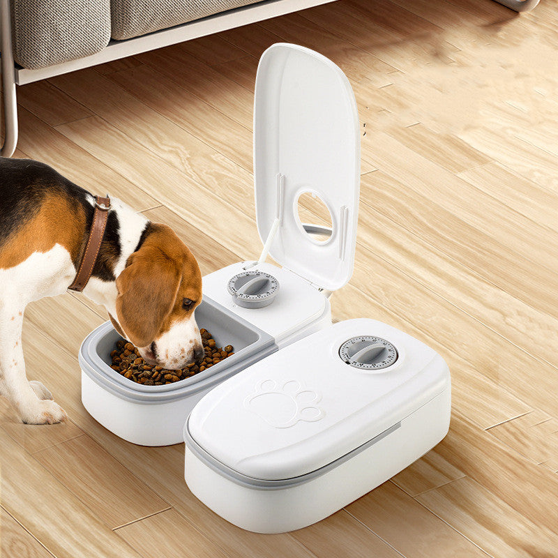 Smart Automatic Pet Feeder – Stainless Steel Bowl & Timer for Cats & Dogs – 5 | EcoPaws UK