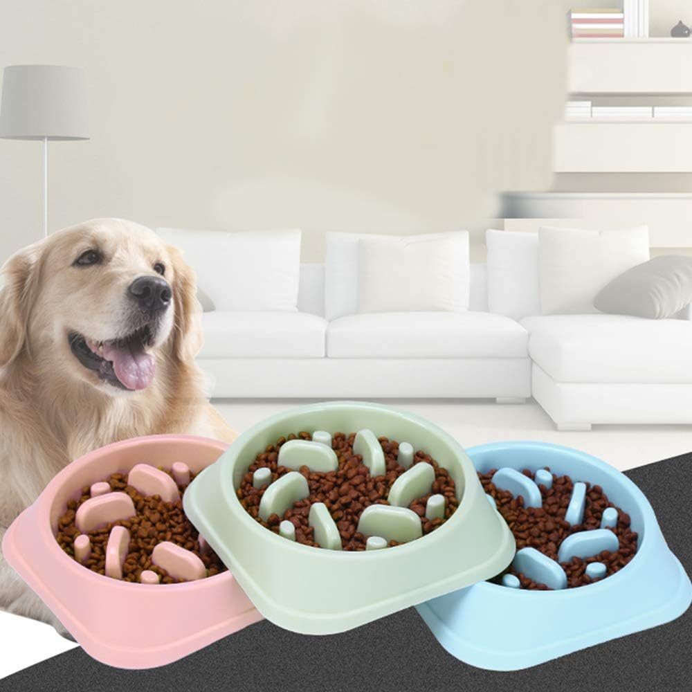 Slow Feeder Dog Bowl